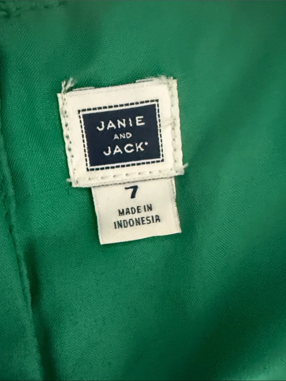 Janie and Jack Green Lace Party Dress for Girls